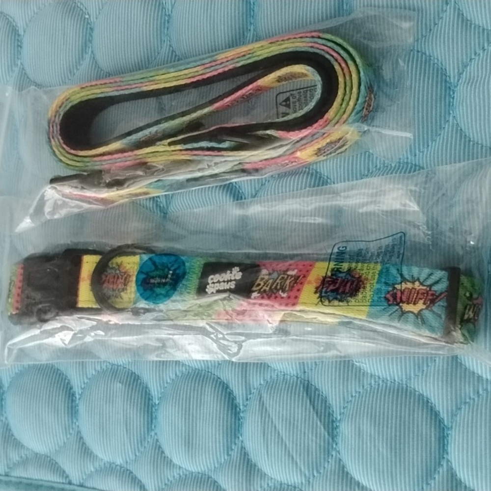 Vibrant Comic Print Dog Collar and Leash Set